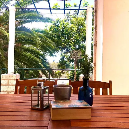 Ida 2 ドゥブロブニク