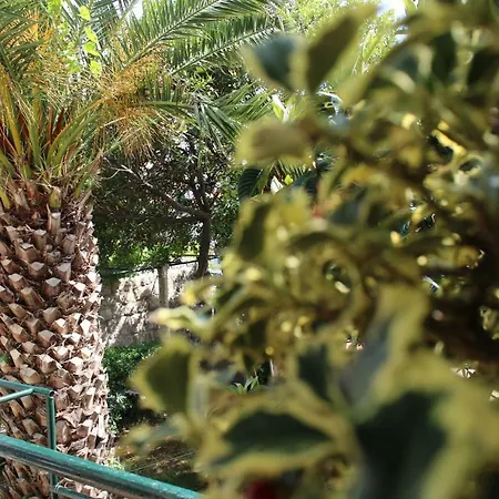 Ida 2 * Дубровник