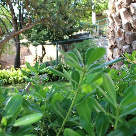 Ida 2 두브로브니크